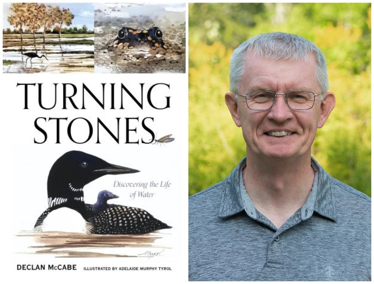 Turning Stones Book Celebration with Declan McCabe