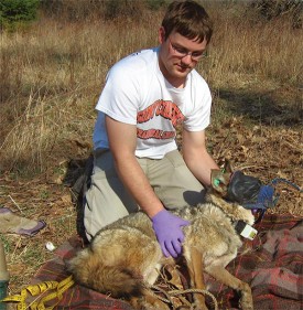 deer_diet.jpg thumbnail