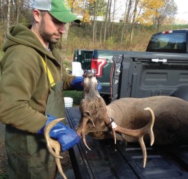 Deer health thumbnail