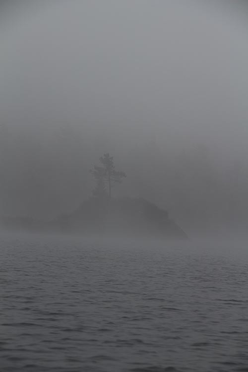 Deer Hunting in the Adirondacks thumbnail