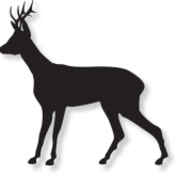 Deer_Icon.jpg