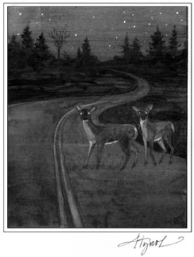 deercars.jpg thumbnail