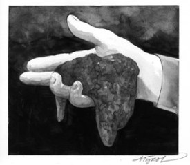 didymo.jpg thumbnail