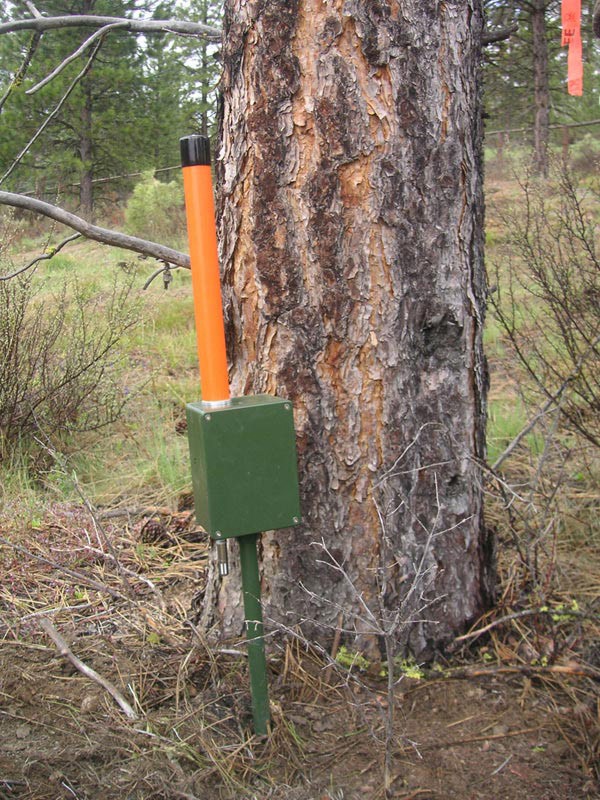 The Power of Trees