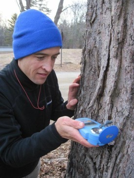 Discoveries-Rapp-Sugar-Test_web.jpg thumbnail