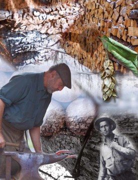 donald.jpg thumbnail