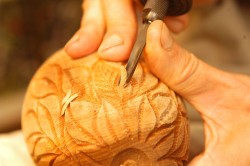 Saving Herbie: New Life for a 217-year-old American Elm Photo: Scott Gibson