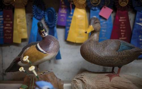 Duck decoys