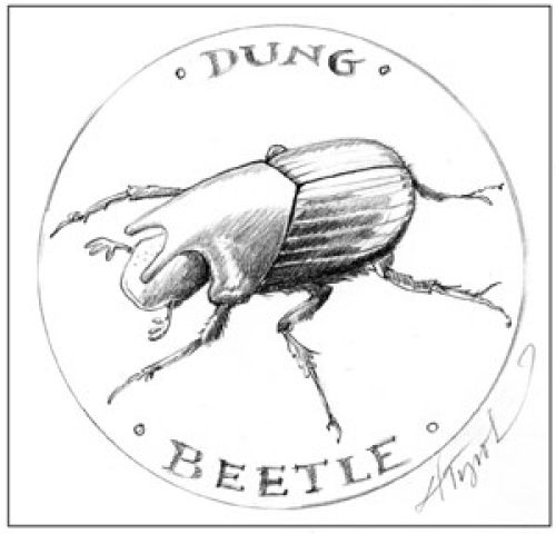 Dung_Beetle_cropped.jpg