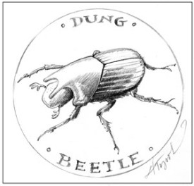 Dung_Beetle_cropped.jpg thumbnail