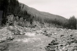 Of Trout and Trees Photo: NH Dam Bureau Collection