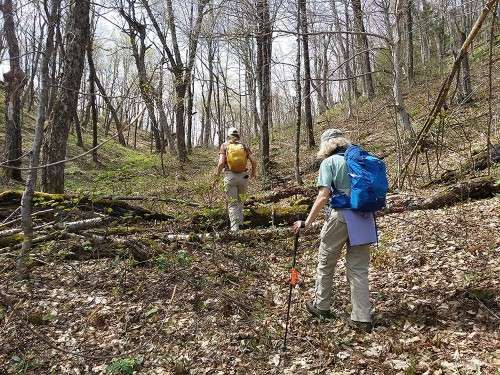 Forest ecologists