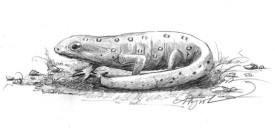 eft_web.jpg thumbnail