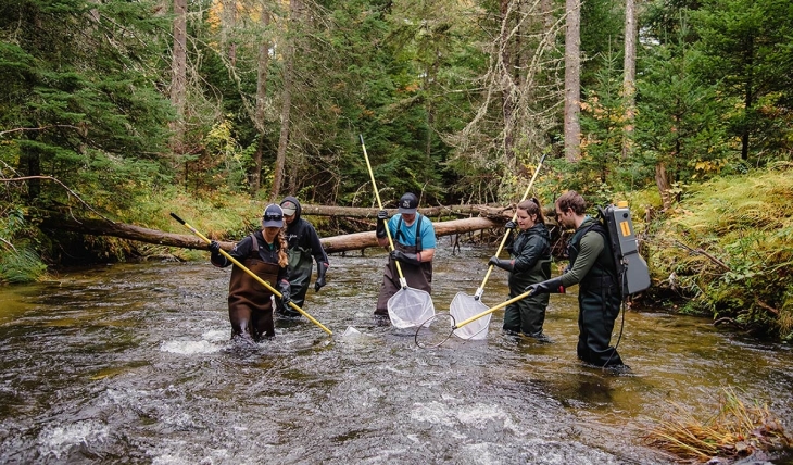 Electrofishing Supports Fisheries Research and Management