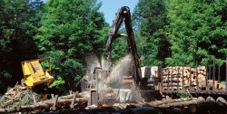 Three Logging Systems: Matching Equipment to the Job Photo: Andy Crosier