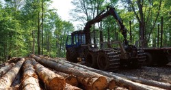 Three Logging Systems: Matching Equipment to the Job Photo: Andy Crosier