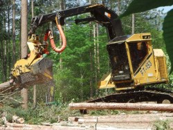 Three Logging Systems: Matching Equipment to the Job Photo: Andy Crosier