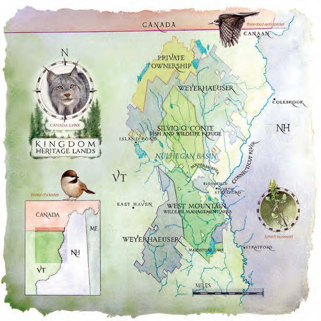 Resilient Forest Graphic