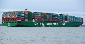 exporting_wood.jpg thumbnail