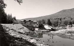 Of Trout and Trees Photo: NH Dam Bureau Collection