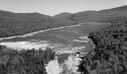 Of Trout and Trees Photo: NH Dam Bureau Collection