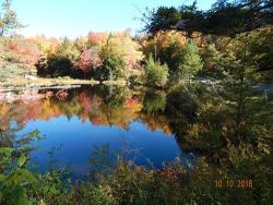 fall_color_teddy_2_w.jpg