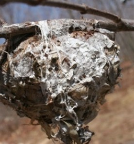 Feb0510_contest_pic_400.jpg thumbnail