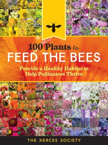 Feed the Bees Image