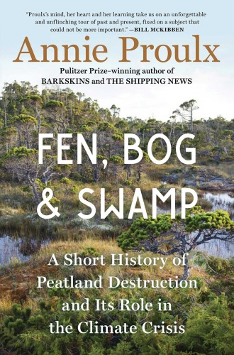 Fen bog swamp