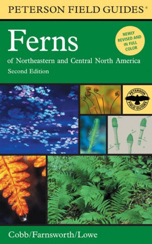 Peterson Field Guides/Ferns of Northeastern and Central North America, Second Edition thumbnail