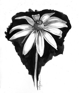 Fibonacci.jpg thumbnail