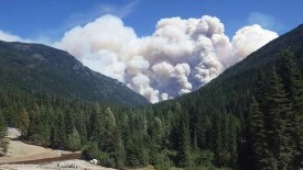 fire_western_forests1.jpg thumbnail