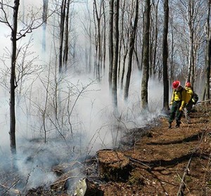 Field Work: At Work Starting (and Putting Out) Fires with Fire Management Services thumbnail