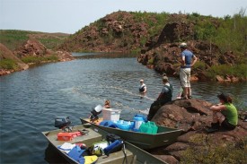 fish_food.jpg thumbnail