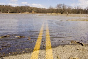 Paving, Floods, and Forests