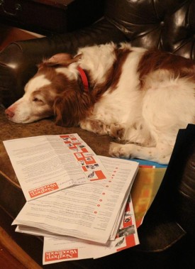 fly_winners2016.jpg thumbnail