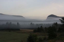 fog_800.jpg