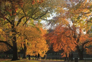 Where's the Peak? How Weather and Climate Affected Last Fall's Foliage thumbnail