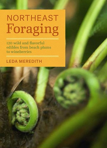 Foraging Image