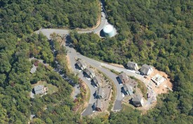 forest.jpg thumbnail