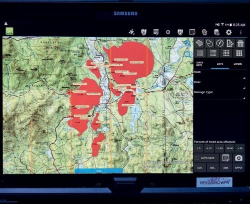 A Bird’s-Eye View of Forest Health