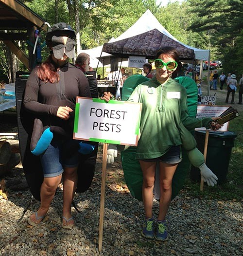 forest_pests.jpg thumbnail