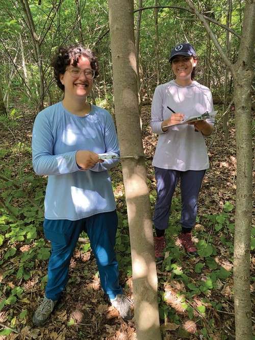 Forestry fieldwork