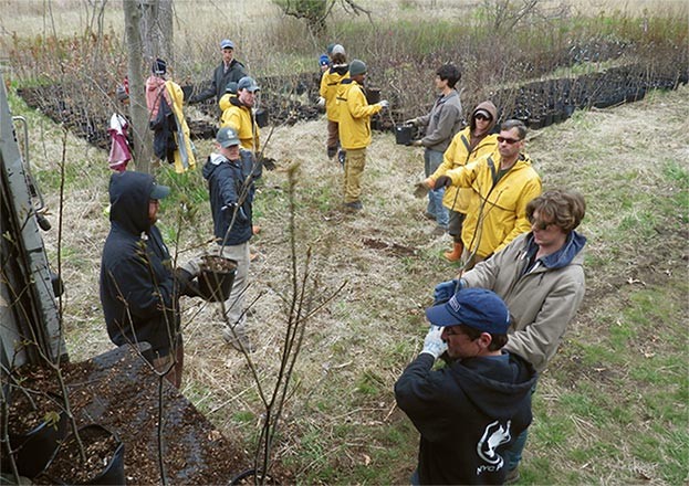 Forest Management in New York City