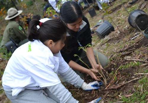 Fort Totten Tree Planting