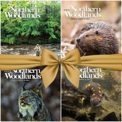 Holiday Gift Subscriptions