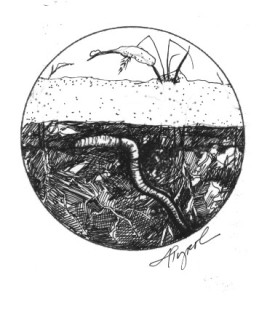 frozen_soil.jpg thumbnail