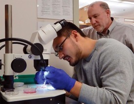 fungal_samples.jpg thumbnail