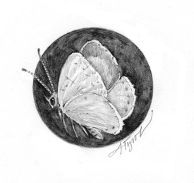 Gall_Azure.jpg thumbnail