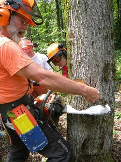 Safety First in the Forest Photo: Dave Mance III